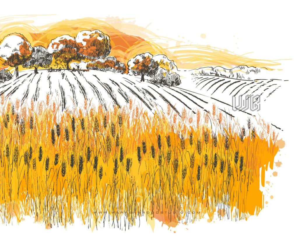Buy Golden Harvest framed artwork online designed to bring warmth, nature, and timeless beauty into your interiors.