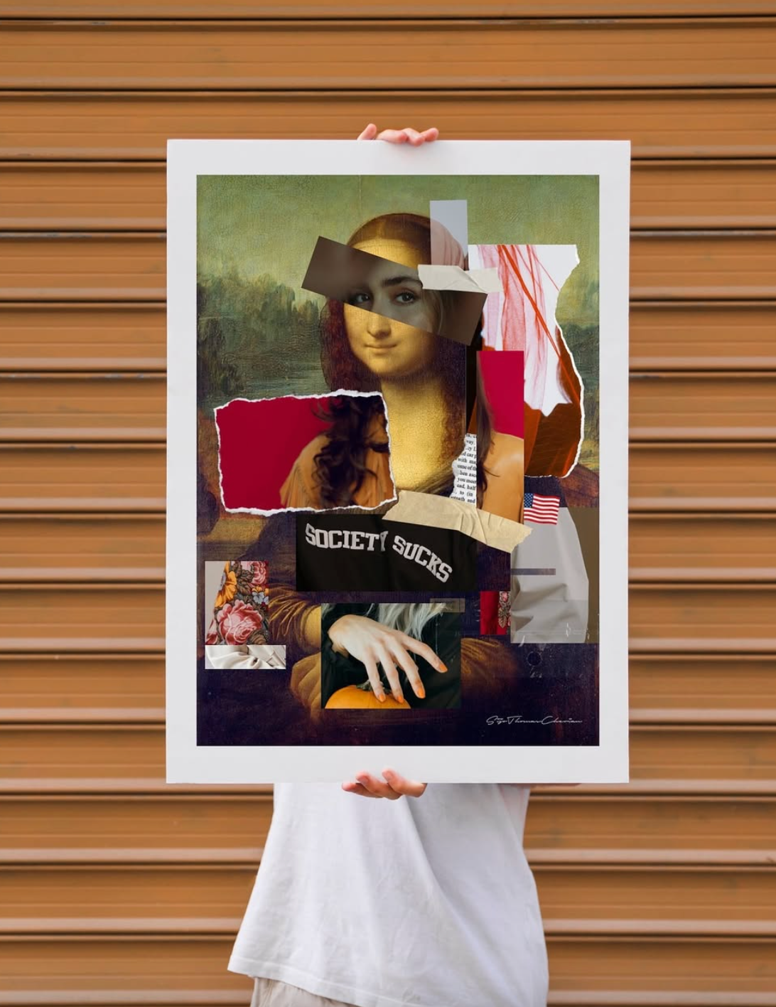 Mona Unveiled : A New Perspective
